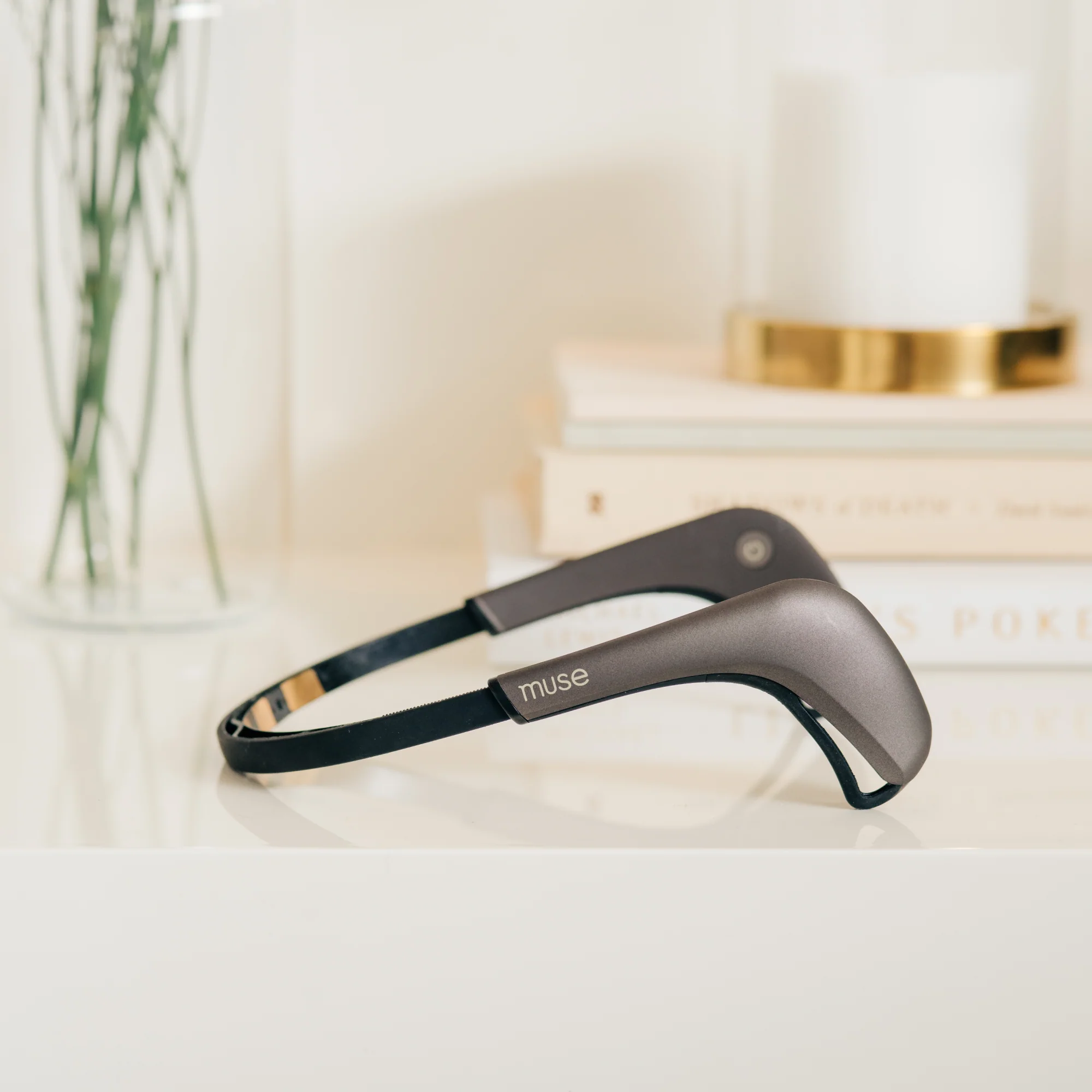 Muse 2 Premium Subscription Bundle - Image 4