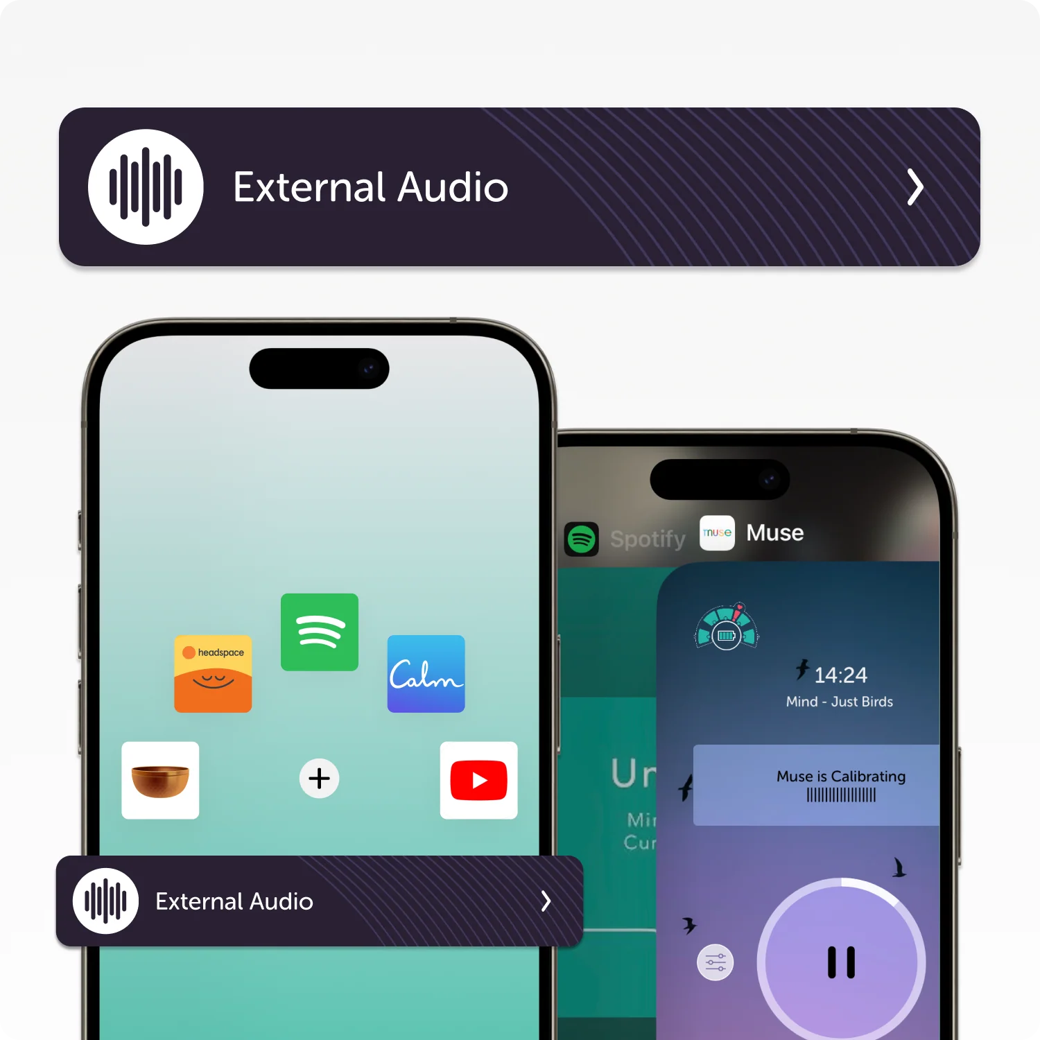 Muse 2 Premium Subscription Bundle - Image 6